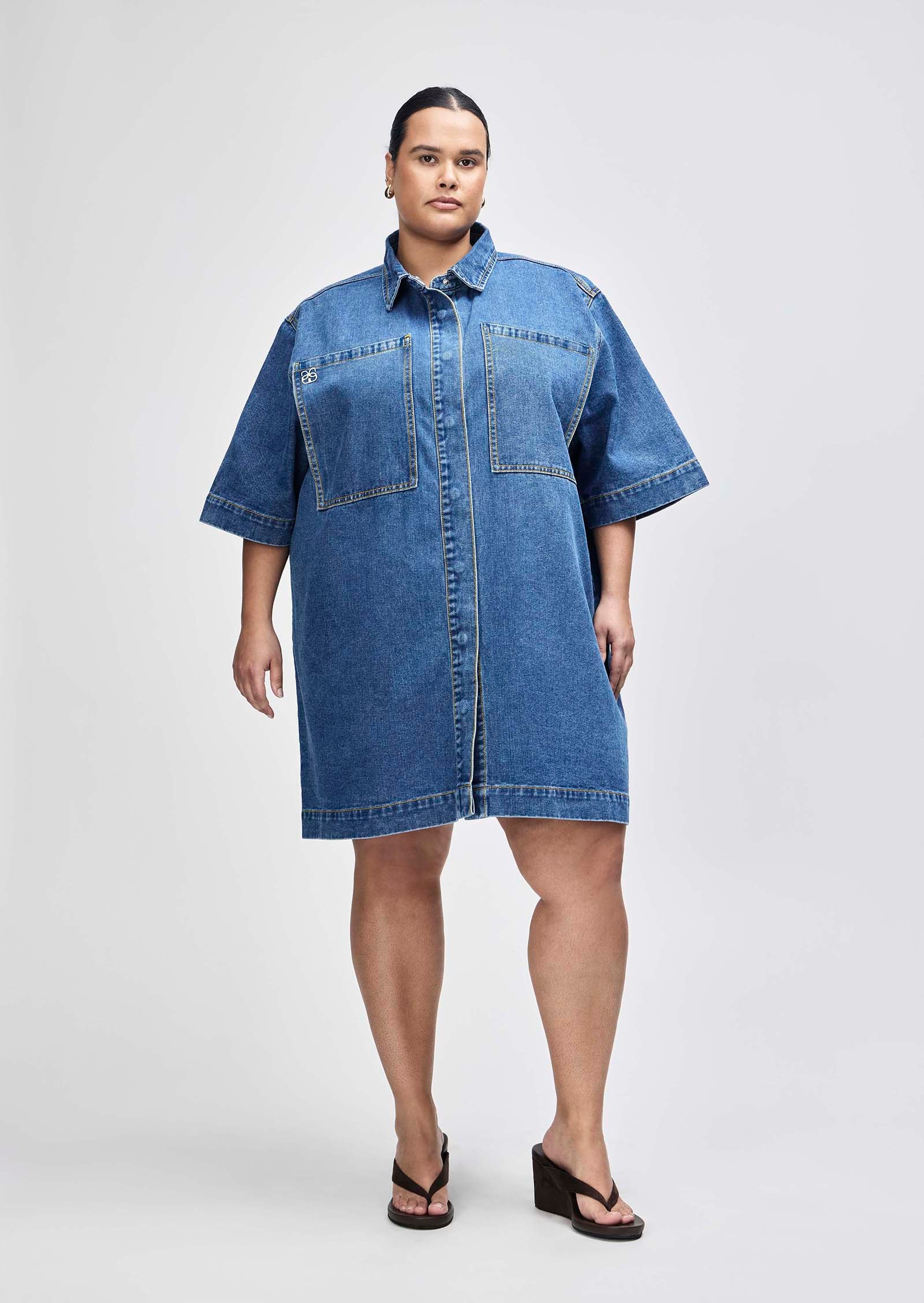 Gabriel Denim Mini Dress
