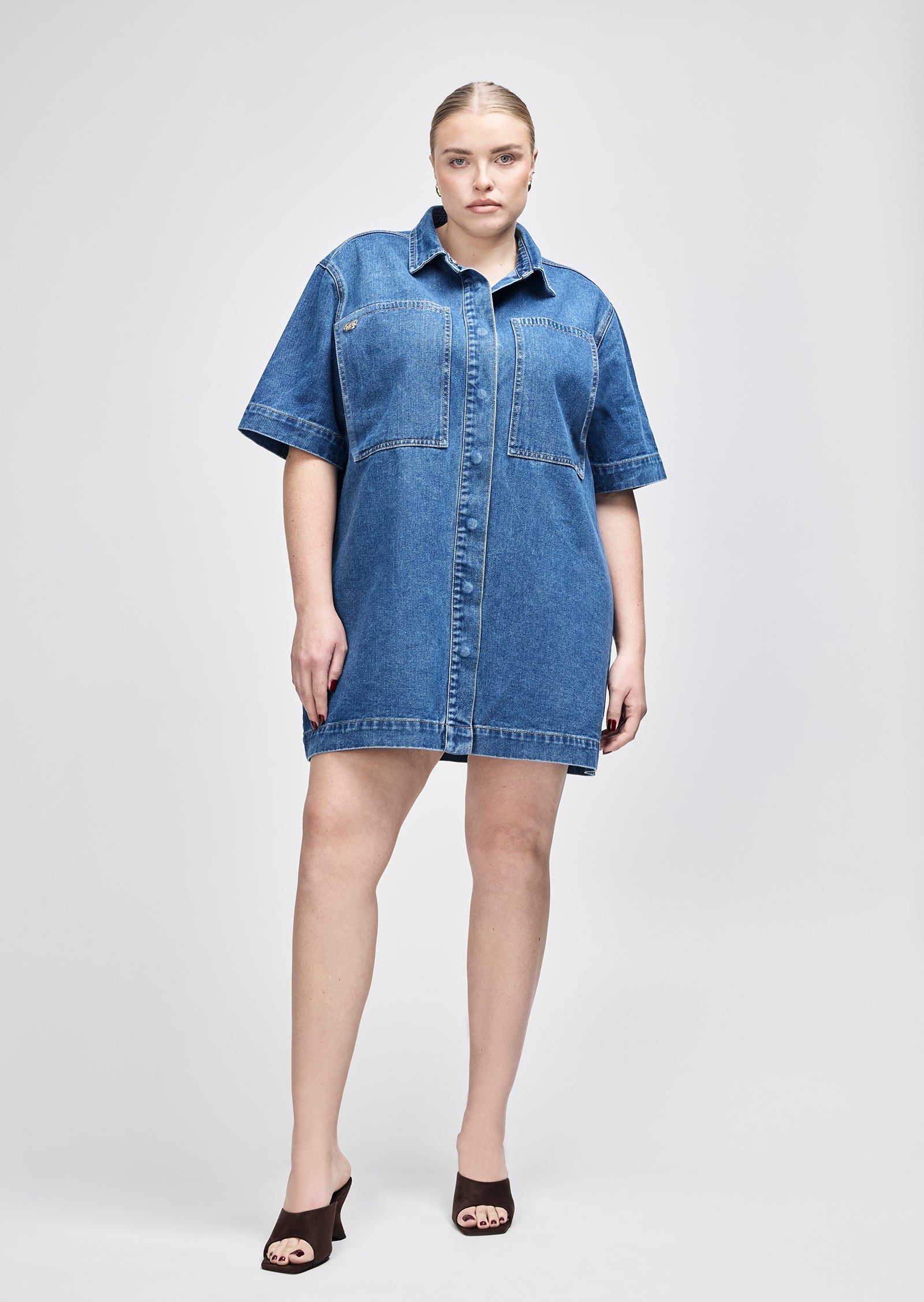 Gabriel Denim Mini Dress
